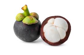 MANGOSTEEN