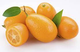 Kumquat ORANGE
