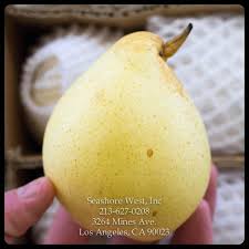 Ya PEAR