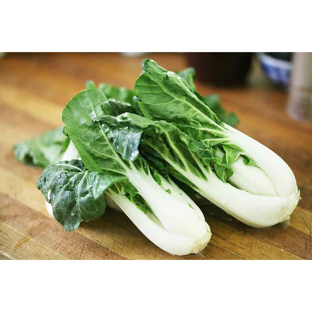 Bok Choy ASIAN VEGETABLES