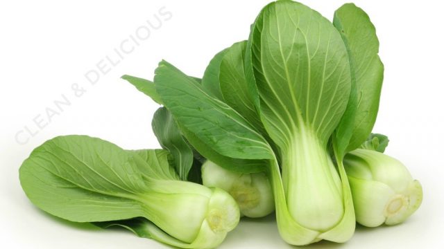Shanghai Bok Choy ASIAN VEGETABLES