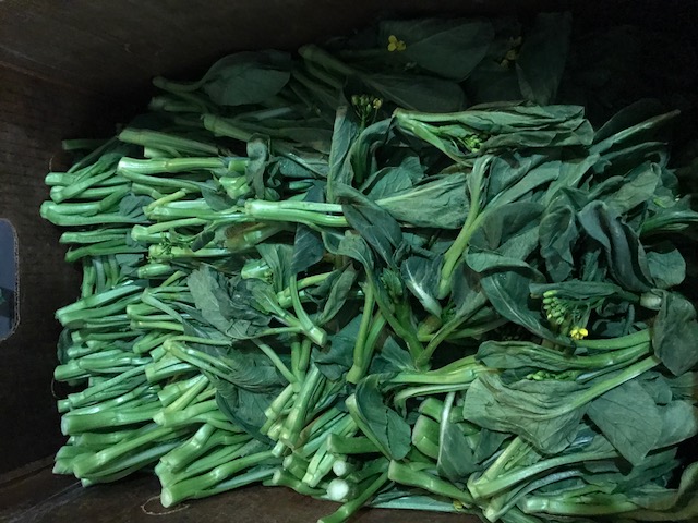 Yu Choy ASIAN VEGETABLES