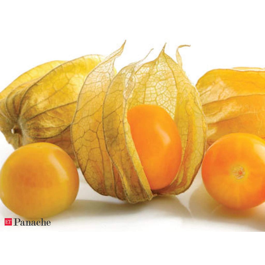 Golden Berry PHYSALISA