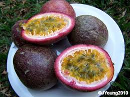 Purple PASSION FRUIT