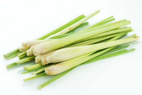 Lemon Grass HERB