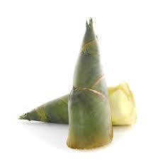 Fresh BAMBOO SHOOT