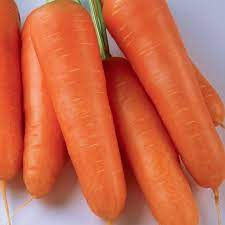 Fresh CARROTS
